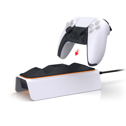PS5 Dual Wireless Gamepad Charger